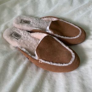 COPY - Ugg Chestnut 8 Slippers